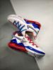 Picture of Nike LeBron 17 Low “Tune Squad” CD5007-100 For Sale