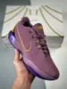 Picture of Nike LeBron 21 Violet Dust/Melon Tint-Purple Cosmos FV2345-500 For Sale
