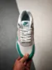 Picture of Nike Air Max 1 Neutral Grey/Clear Jade-White DZ4549-001 For Sale
